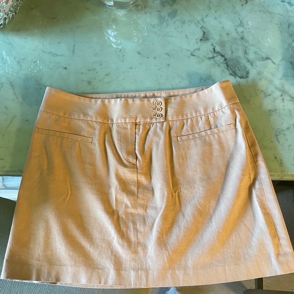 Khaki Mini Skirt by Theory